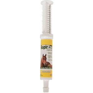 Durvet AspirEze Horse Pain Relief Wound Care Gel, 80-cc syringe