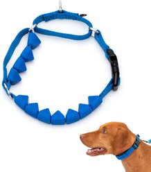PetSafe Soft Point Martingale Dog Training Collar, Royal Blue, Medium
