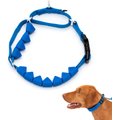 PetSafe Soft Point Martingale Dog Training Collar, Royal Blue, Medium