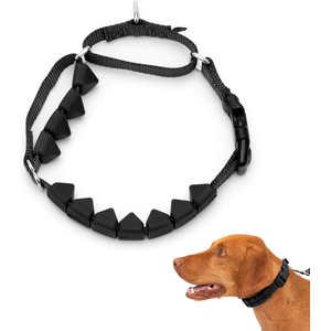 Max and neo dog gear martingale 2024 chain dog collar