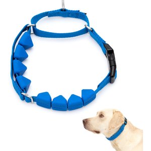 PetSafe Soft Point Martingale Dog Training Collar, Royal Blue, Large