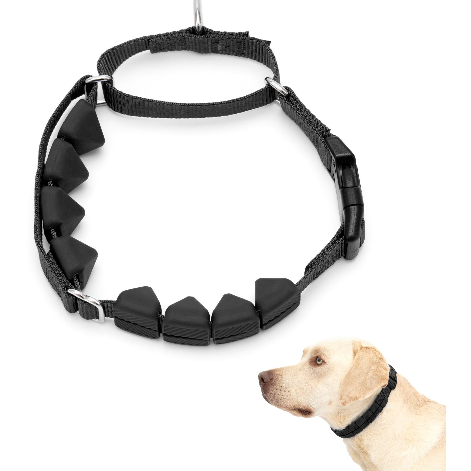 Chewy sales prong collar