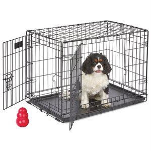 MidWest iCrate Fold & Carry Double Door Collapsible Wire Dog Crate + KONG Classic Dog Toy, Medium