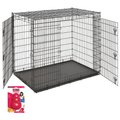 MidWest Solutions Series XX-Large Heavy Duty Double Door Wire Dog Crate, 54 inch + KONG Classic Dog Toy, XX-Large