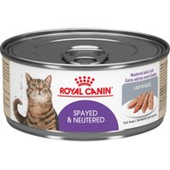 royal canin spayed and neutered cat food