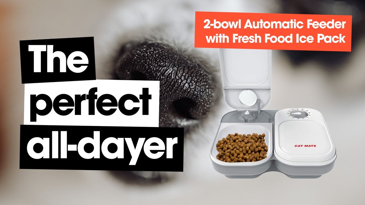 CAT MATE C200 2Bowl Automatic Dog & Cat Feeder, 4cup