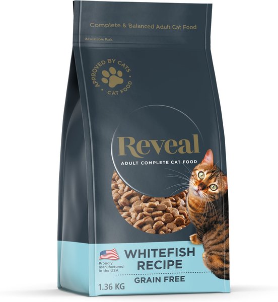 Chewy dry outlet cat food