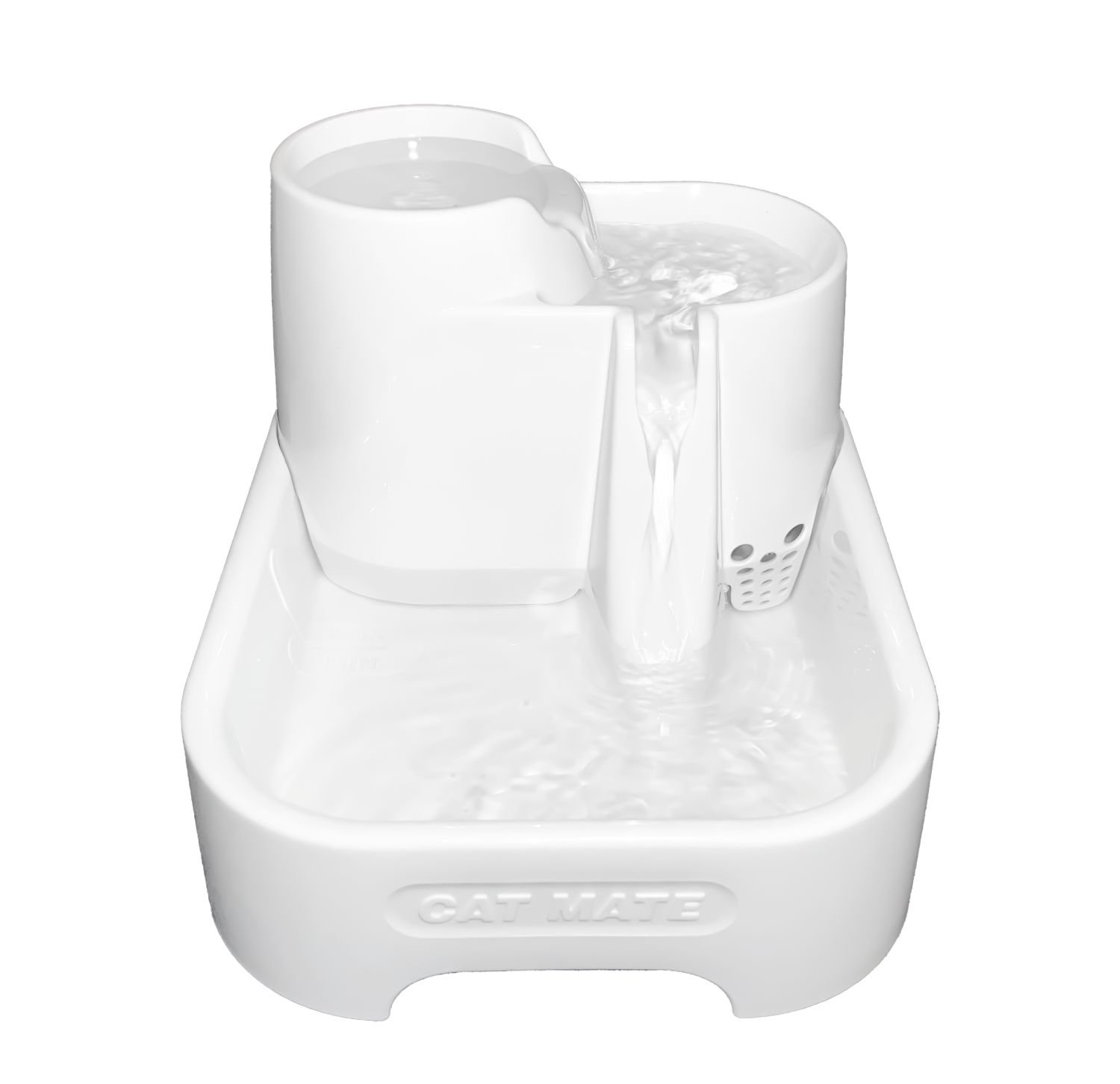 what-is-the-life-expectancy-for-the-water-pump-chewy