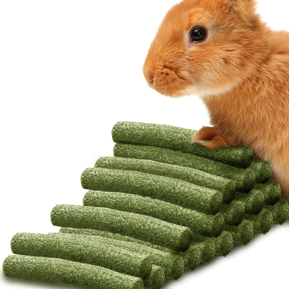 SUNGROW Natural Timothy Hay Sticks Rabbit & Guinea Pig Treats, 4.7in