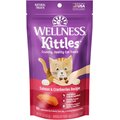 Wellness Kittles Natural Grain-Free Salmon & Cranberries Crunchy Cat Treats, 2-oz bag