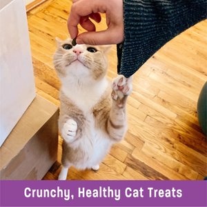 Wellness Kittles Natural Grain-Free Chicken & Cranberries Crunchy Cat Treats, 2-oz bag