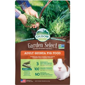 Oxbow Garden Select Adult Guinea Pig Food, 8-lb bag, bundle of 2