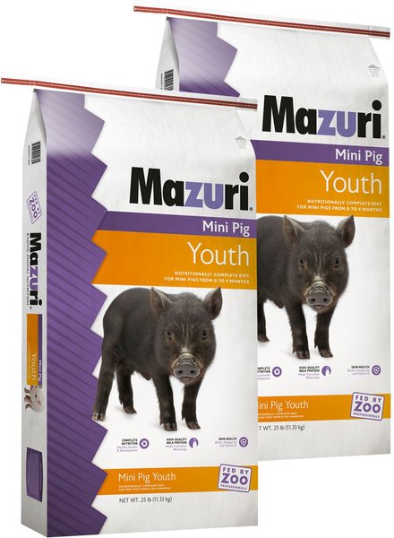 MAZURI Mini Pig Youth Food 25 lb bag bundle of 2 Chewy