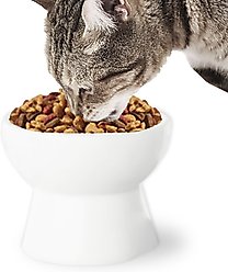 SunGrow Ferret Raised Bowl