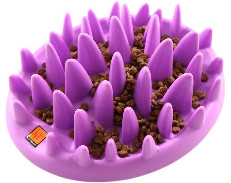 NORTHMATE Catch Interactive Cat Feeder, Purple - Chewy.com