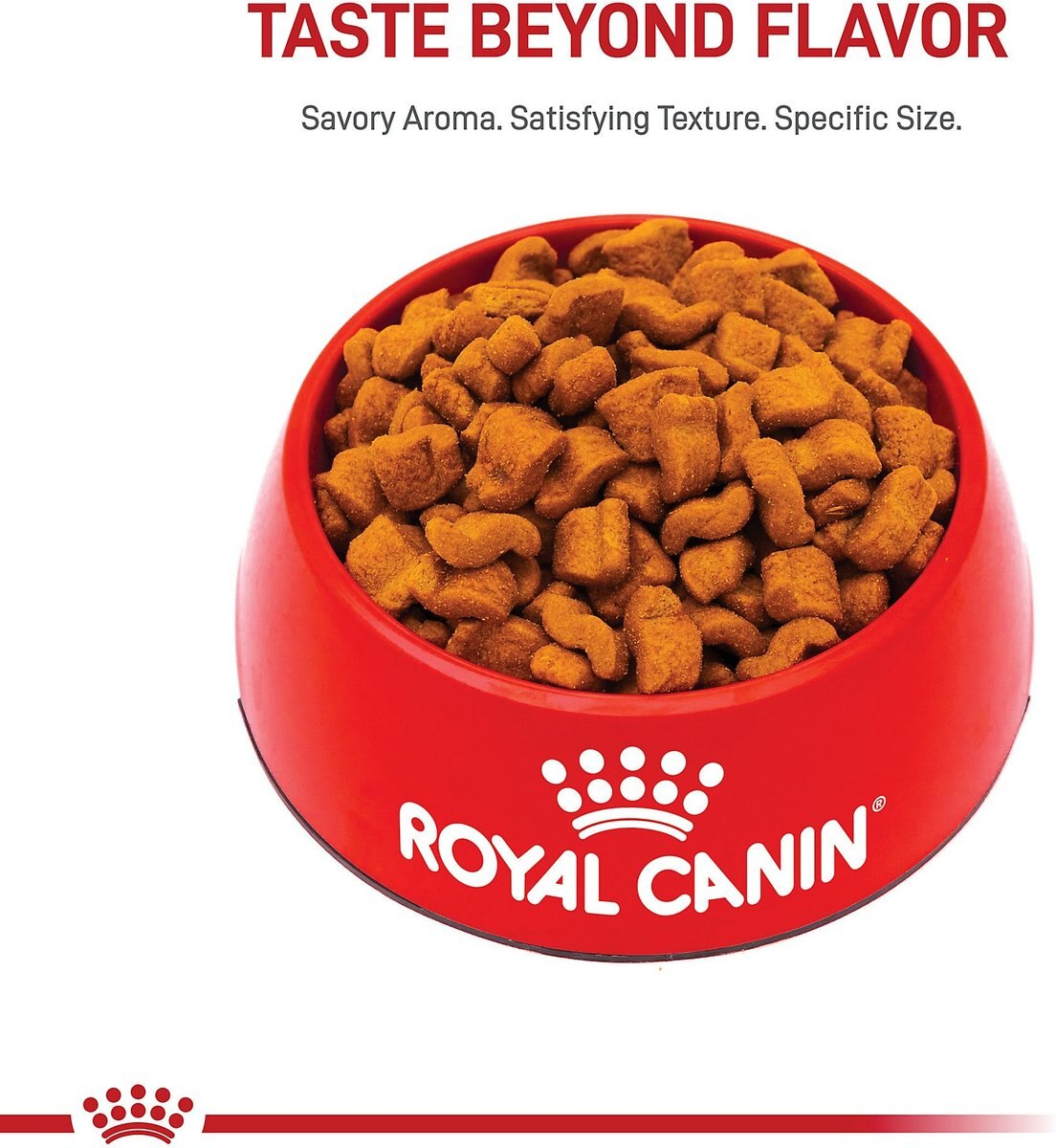 Royal Canin Breed Health Nutrition Boxer Adult Dry Dog Food