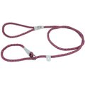 K9 Explorer Reflective Braided Rope Slip Dog Leash, Orchid
