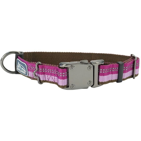 K9 EXPLORER Reflective Adjustable Dog Collar, Orchid, XSmall
