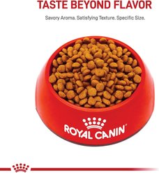 Royal Canin Breed Health Nutrition Miniature Schnauzer Puppy Dry Dog Food, 2.5-lb bag slide 2 of 8