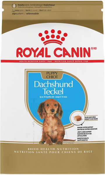 Royal Canin Breed Health Nutrition Dachshund Puppy Dry Dog Food