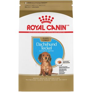 Royal Canin Breed Health Nutrition Dachshund Puppy Dry Dog Food, 2.5-lb bag
