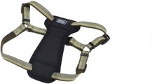 K9 Explorer Reflective Adjustable Padded Dog Harness, Fern