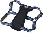 K9 Explorer Reflective Adjustable Padded Dog Harness, Sapphire