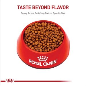 Royal Canin Feline Breed Nutrition Persian Kitten Dry Cat Food, 3-lb bag