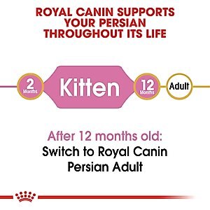 Royal Canin Feline Breed Nutrition Persian Kitten Dry Cat Food, 3-lb bag