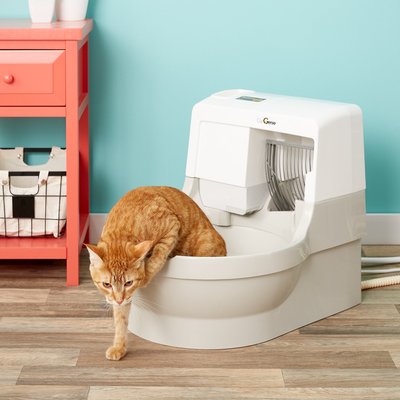 CatGenie Self-Flushing, Self-Washing Cat Box, slide 1 of 1