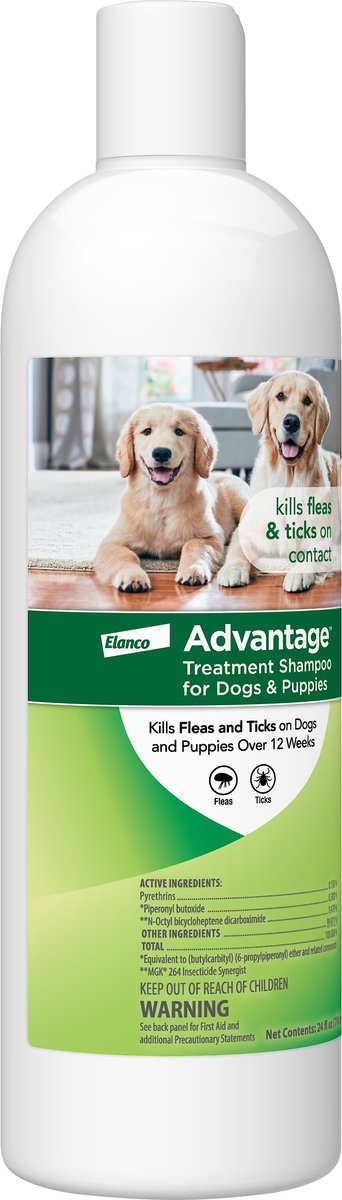 Advantage dog flea outlet shampoo