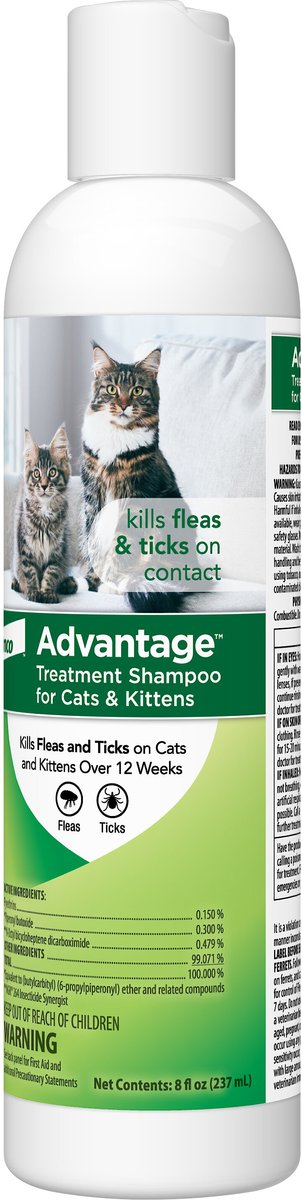 Advantage cat 2025 flea shampoo