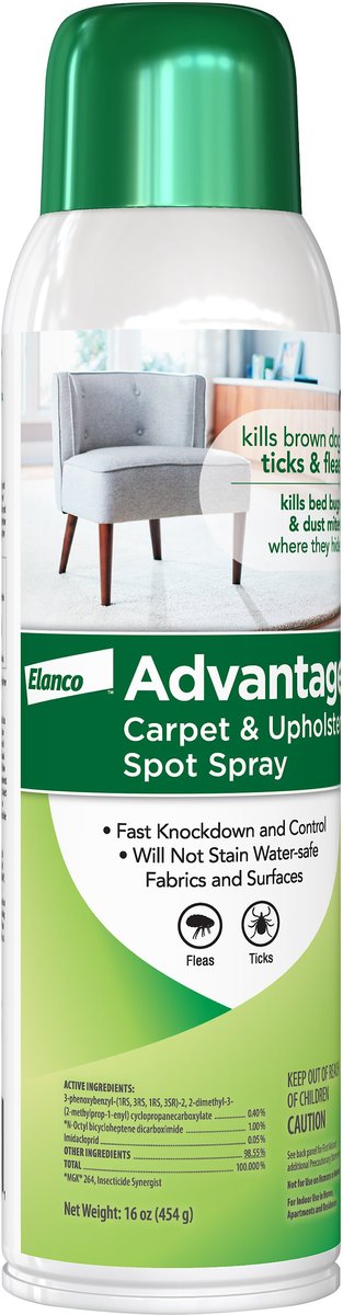 Bayer best sale flea spray