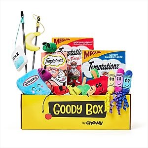 Goody Box Back To School Cat Toys & Treats