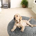 Archstone Pets Bolster Round Donut Cat & Dog Bed, Gray, Medium