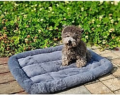 Archstone Pets Flat Bolster Rectangular Cat & Dog Crate Bed, Gray, Small