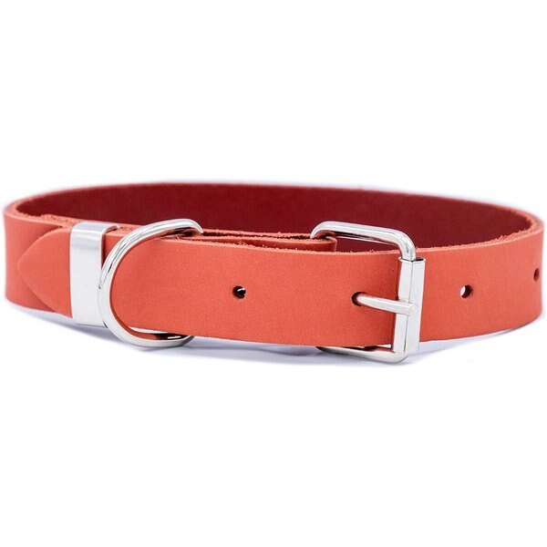 EURODOG Zen Style Leather Dog Collar, Coral Reef, Large