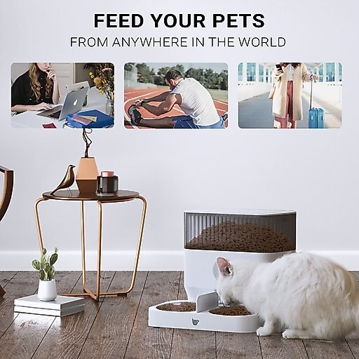 INSTACHEW Purechew Double Automatic 1-10 Feeding Dog & Cat Feeder, White