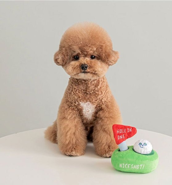 EYS Golf Hole In One Dog Plush Toy, Green slide 1 of 6
