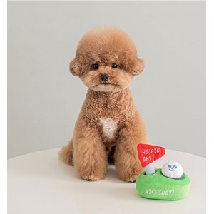 EYS Golf Hole In One Dog Plush Toy