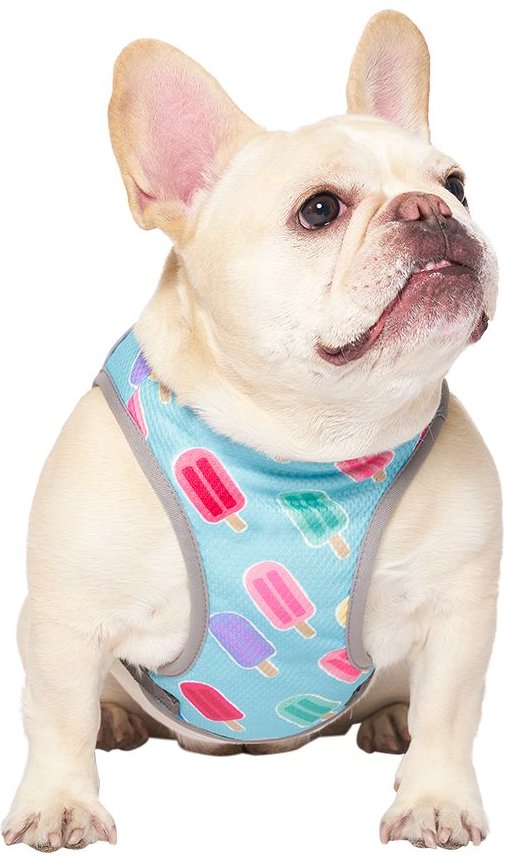 Canada pooch hot sale cooling vest