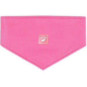 Canada Pooch Chill Seeker Cooling Dog Bandana