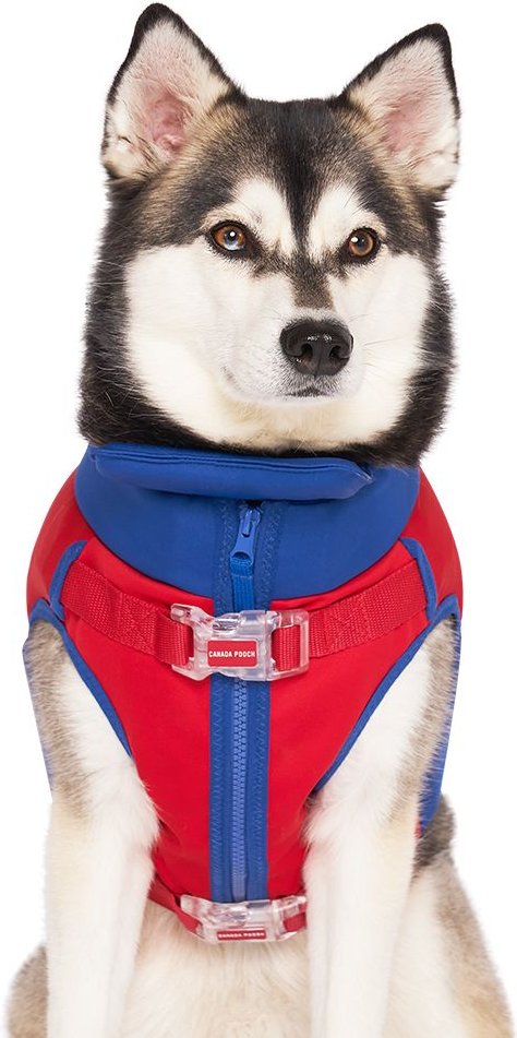 canada pooch life jacket