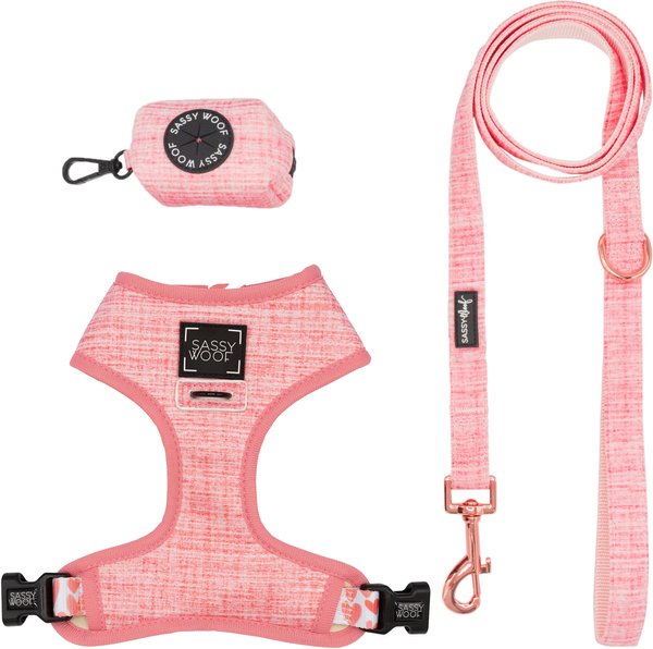 Sassy Woof, Dog, Sassy Woof Dog Airplane Design Harness Bought New Didnt  Fit As Puppy Grew