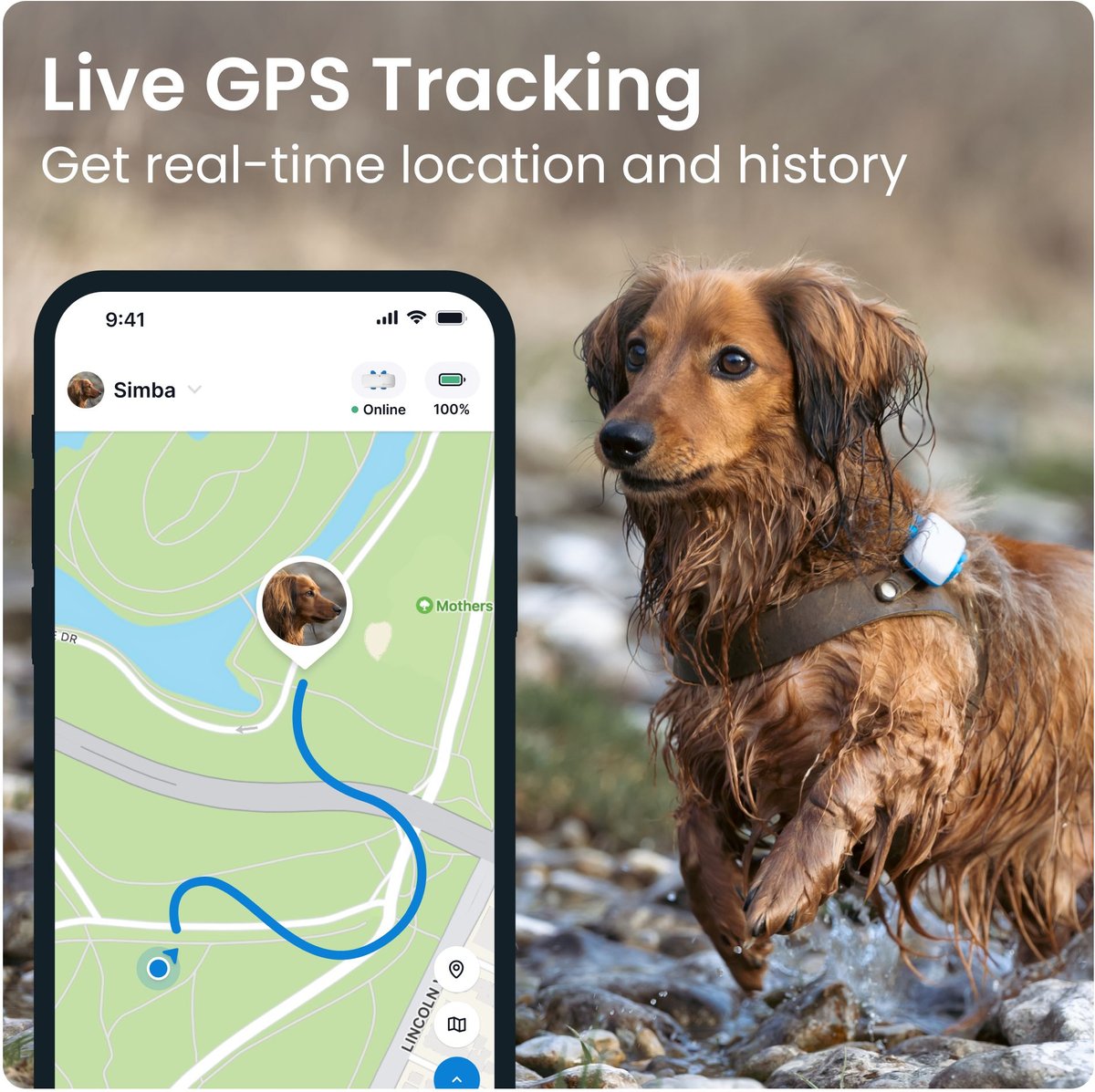 TRACTIVE Dog GPS Tracker with Activity Monitoring, Fits any Collar