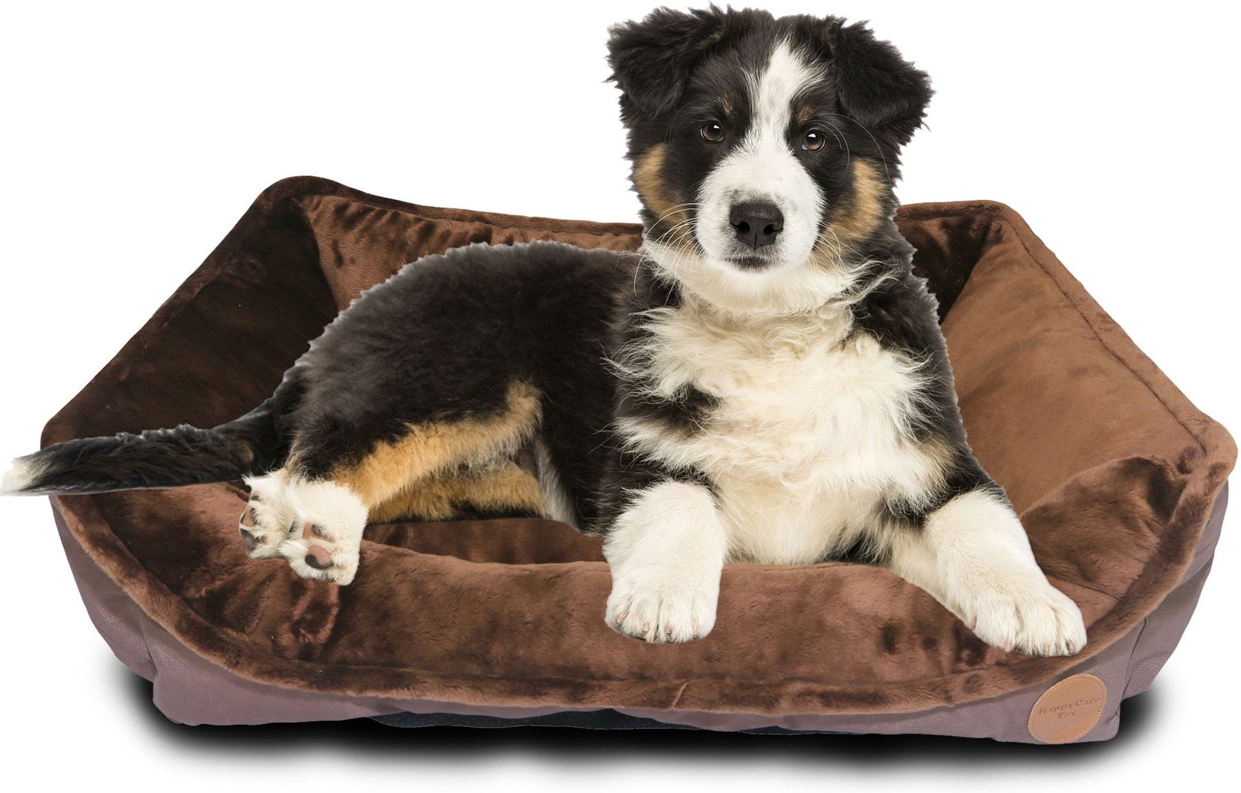 Border Collie Non Shedding Border Collie Rug Rectangle Rugs