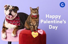 Happy Palentine's