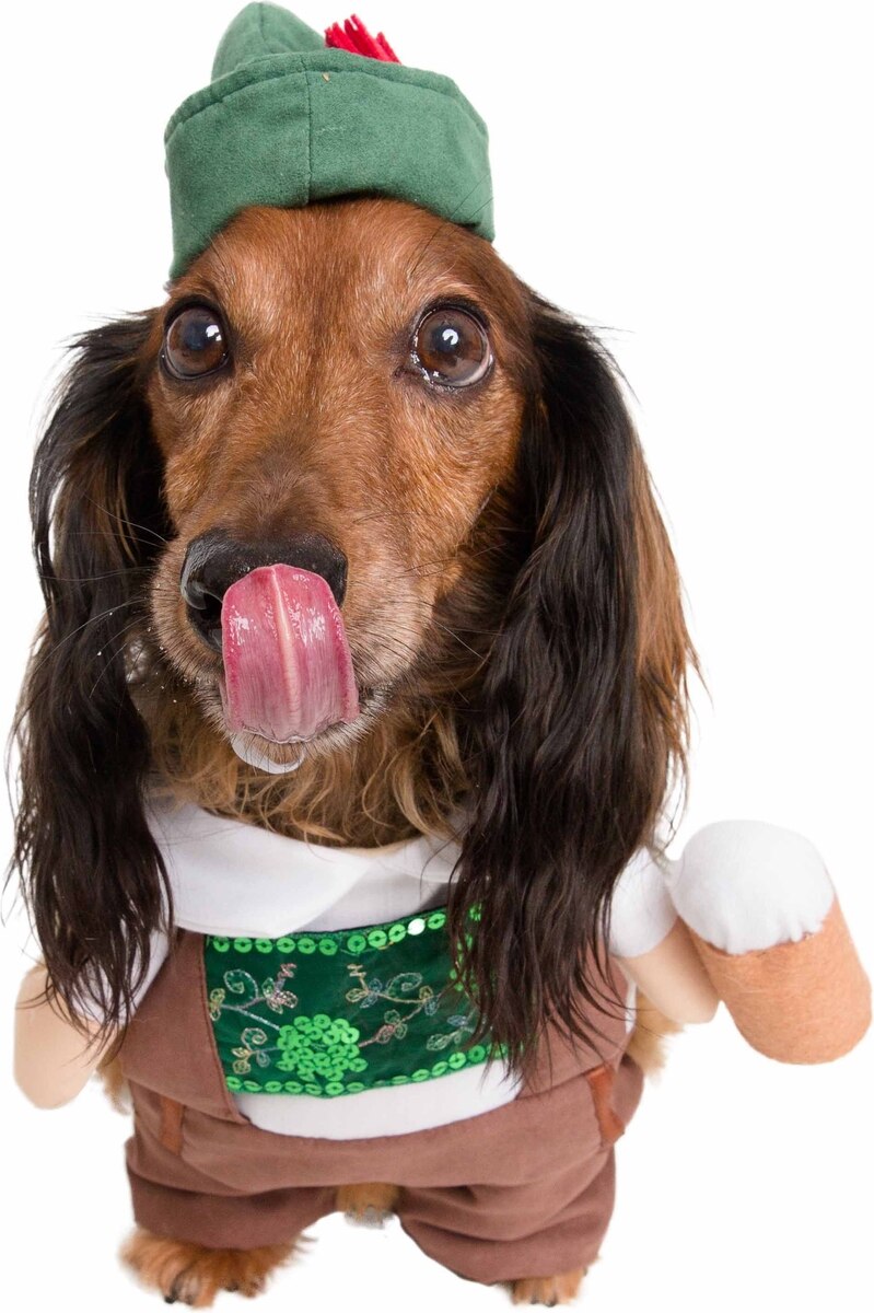 Discontinued PET KREWE German Beer Dog Costume, Green, Medium - Main Image