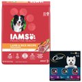 Cesar Filets in Gravy Beef Flavors Variety Pack Wet Food + Iams Minichunks Lamb & Rice Dry Dog Food