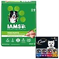 Iams Adult MiniChunks Small Kibble Dry Food + Cesar Loaf in Sauce Variety Pack Wet Dog Food Trays